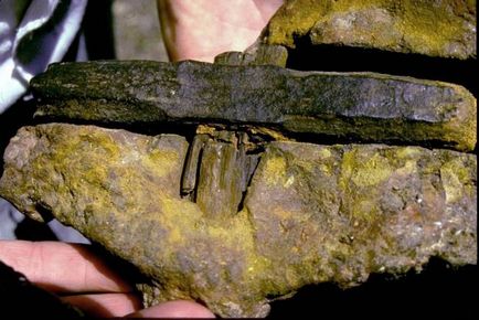 Ghicitul artefactului numit ciocanul din Londra - misterele istoriei - știri