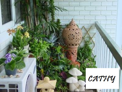 Colțul verde al casei - diferite (design, creativ) - casă, grădină, design, decor - catalog de articole - linii