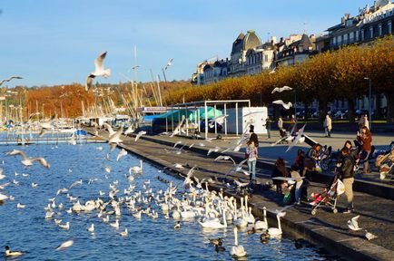 Geneva, un oraș din Elveția ce să vadă, să știe în străinătate