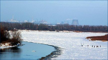 Animalele care locuiesc în zona de excludere a centralei nucleare de la Cernobâl