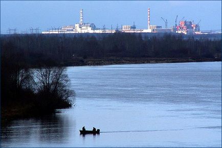 Animalele care locuiesc în zona de excludere a centralei nucleare de la Cernobâl