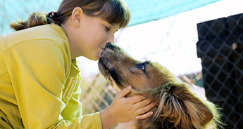 Zoogostinitsa Lassie Kirishi a leningrádi régióban