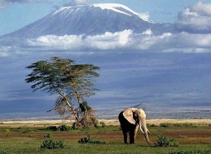 10 Fapte despre uimitorul munte Kilimanjaro