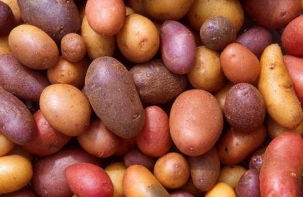 12 termékek érzékeny hűtőszekrényben (is) 12 termék érzékeny hűtőszekrény