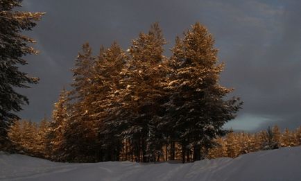 15 Чудових фотографій дивовижною комі - бібліотека туриста