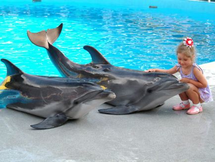 Parcul acvatic din Antalya Akvalend din Turcia, piscine, tobogane de apă, precum și un delfinariu și alte