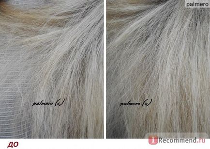 Ampule pentru păr de lână profesionale repararea puterii lipidium - 
