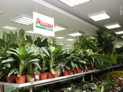 Auchan grădină (Ashan City) adresa, telefon, orar de funcționare, site-ul oficial, comentarii, produse de grădină în