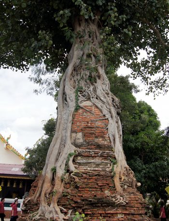 Ayutthaya Thaiföld általános turisztikai információk