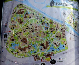 Берлінський зоопарк - місце для відпочинку, з миром на ти подорожі