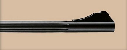 Blaser r 93