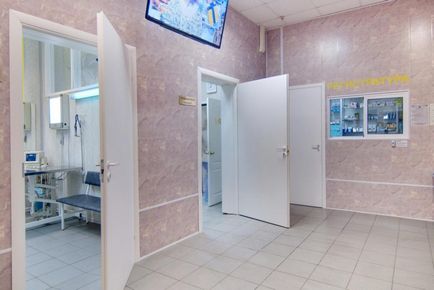 Bogorodsky Centrul Veterinar din Moscova