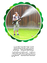 хвороби дерев