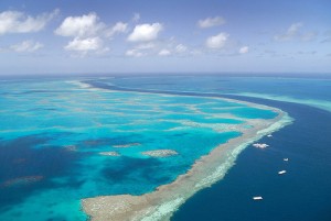 Великий бар'єрний риф австралія, де знаходиться, опис, фото
