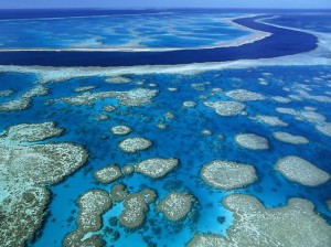 Marea barieră de recif australia, unde se află, descriere, fotografie