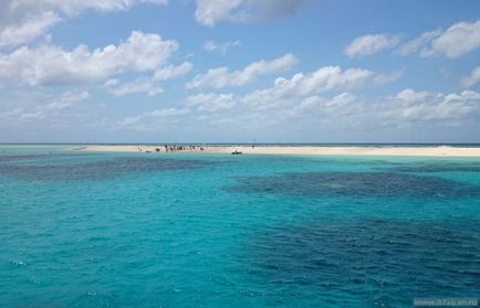 Great Barrier Reef - fotografie cum să obțineți singur