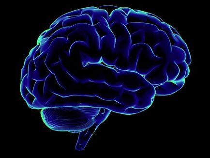 Cea mai mare parte a energiei consumate de creier petrece un necunoscut pe ce - un factum