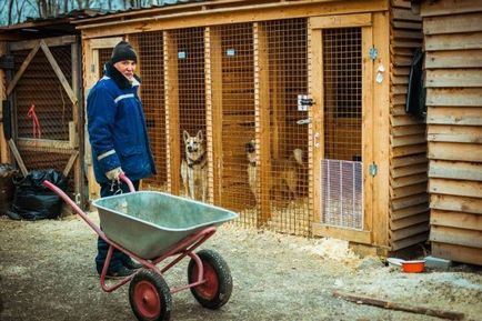 Будні притулку для тварин «хочеться взяти палицю і прибити цю людину» - daily