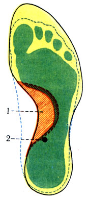 Centrul de greutate al corpului uman 1978 marginile a