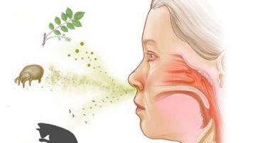 Чим лікувати алергічний кашель у дитини сезонна алергія у дорослих, таблетки, як, ліки,