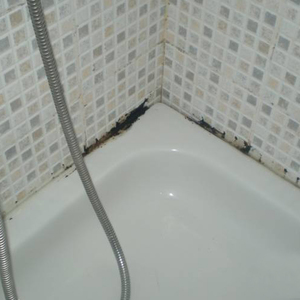 Forma neagră în baie ce unelte sunt potrivite pentru combaterea ei și cum să o preveniți
