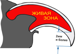 Що обов'язково потрібно знати про котячих пазурах!