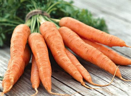 Що посадити після моркви на наступний рік поради фахівців