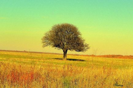 Ce se întâmplă pe pământ într-o zi (33 fotografii)