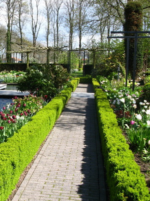 Stilurile Dacha ale designului peisajului grădinii pe stilurile fotografice regulate și peisaje