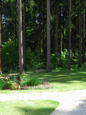 Дачні стилі садового ландшафтного дизайну на фото регулярний і пейзажний стилі