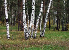 Дьоготь в народній медицині, нехай не болить