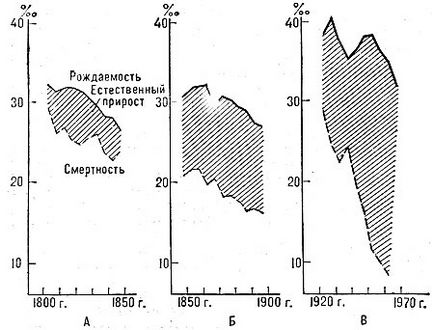 Explozie demografică, concepte și categorii