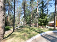 Gyermek szanatórium Nalibokskaya Forest - gyógyhely Fehéroroszország (gyermekeknek) Gyermek szanatórium Nalibokskaya Forest - gyógyhely Belorusszia