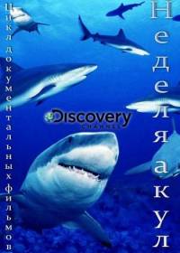 Discovery - documentare ceas online