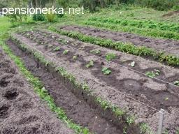 Vízelvezető kerti telek, a vízelvezető rendszer nyitott típusú