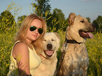 Instruirea câinilor în Tsaritsyno