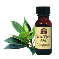 Ulei esențial de ceai Tree Tree Sfaturi pentru utilizare și comentarii