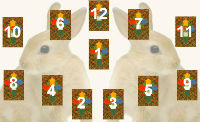 Divination by tarot - pentru doi iepuri, free fortune telling