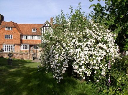 Gertrude Jekyll - faimosul designer britanic de peisaje