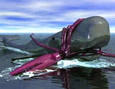 Гігантський кальмар - остання загадка глибин опис, фото, відео, фільм кашалот проти