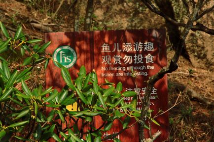 Munții Huangshan din China