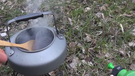Chaga gomba előnyei és hátrányai (Chaga) Chaga gomba előnyei és hátrányai
