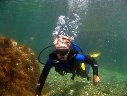 Wrasse vagy zöldike