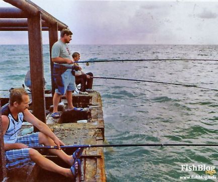 Губан, рябчик, зеленушка - онлайн-газета про риболовлю