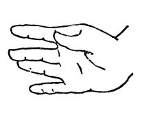 Test de mână (test de mână Wagner), platformă de conținut