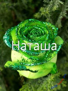 Név Natasha a képek, képek a nevét (Natasha) Név Natasha a képek, képek nevei