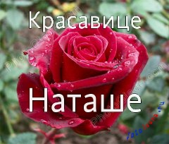 Név Natasha a képek, képek a nevét (Kép) Név Natasha a képek, képek nevei