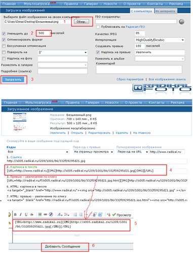 Instrucțiuni pentru utilizarea site-ului - lucrul cu forumul care introduce un avatar