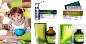 Guide chlorophyllipt alkohol és olajos oldatot semlegesíteni fertőzés (chlorophyllipt) hlorofillipta utasítások alkohol és olajos oldatot, hogy semlegesítse a fertőzés