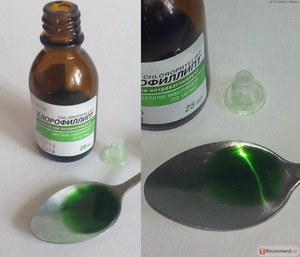 Інструкція хлорофиллипта спиртової та масляний розчин для нейтралізації інфекції